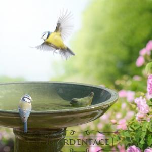 keramické ptačí pítko/koupel na noze zelené