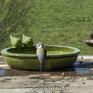 keramické pítko/ptačí koupel zelené
