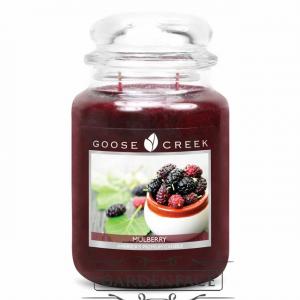  vonná svíčka GOOSE CREEK Mulberry 680g 
